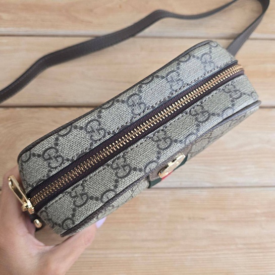 Сумка Gucci GG Ophidia 20x14 см