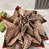 Складной зонт Gucci GG Monogram premium
