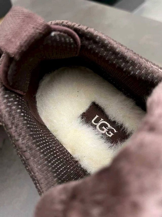 Женские замшевые ботинки UGG Lowmel