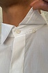 Мужская рубашка Dolce&Gabbana Bee & Crown - White