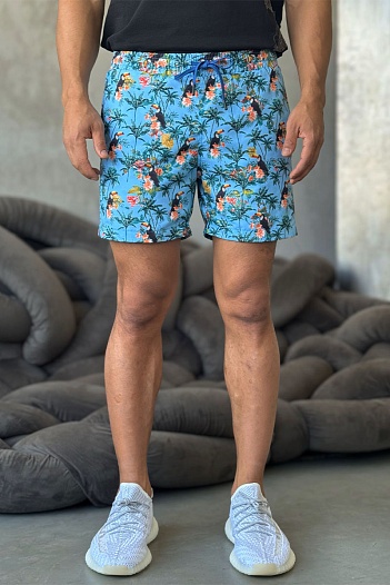 Мужские голубые шорты Etro floral-pattern   