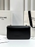 Женская кожаная сумка Celine Claude Premium 20.5x11.5x4 см - Black / Silver