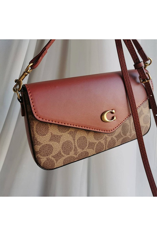 Женская сумка Coach Wyn Clutch In Colorblock 22x13 см