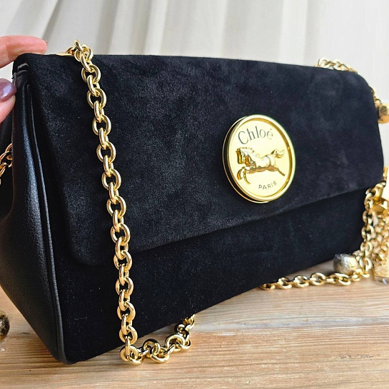 Замшевая сумка Chloe Small Heritage 28x17 см