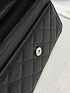Кожаная сумка Chanel Wallet on Chain premium 19x12x4 см