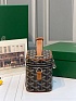 Кожаная сумка Goyard Muse Mini Vanity ​premium 16,5x10,5x8 см