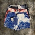 Мужские синие шорты Louis Vuitton monogram bandana