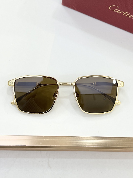 Солнцезащитные очки Cartier Premiere 