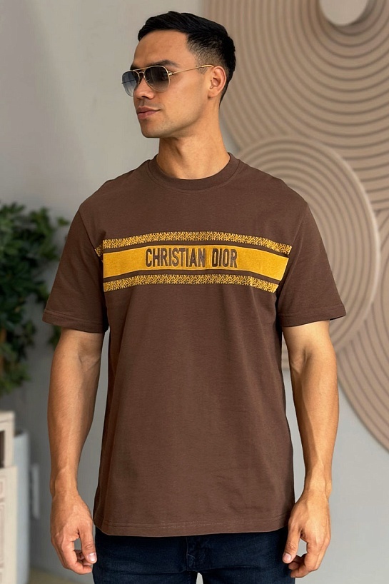 Мужская оверсайз футболка Dior - Brown