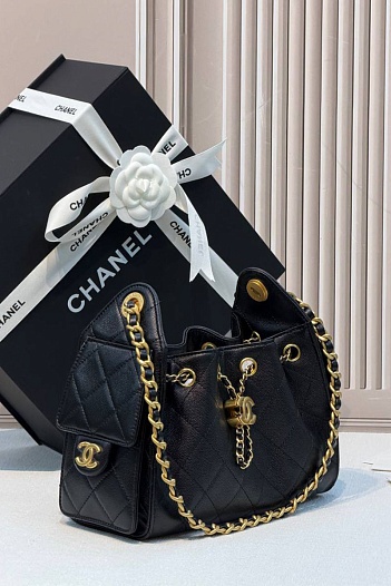 Кожаная сумка Chanel 25 Mini premium 20x22x12.5 см   
