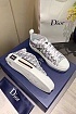 Женские текстильные кеды Dior B23 Low Oblique