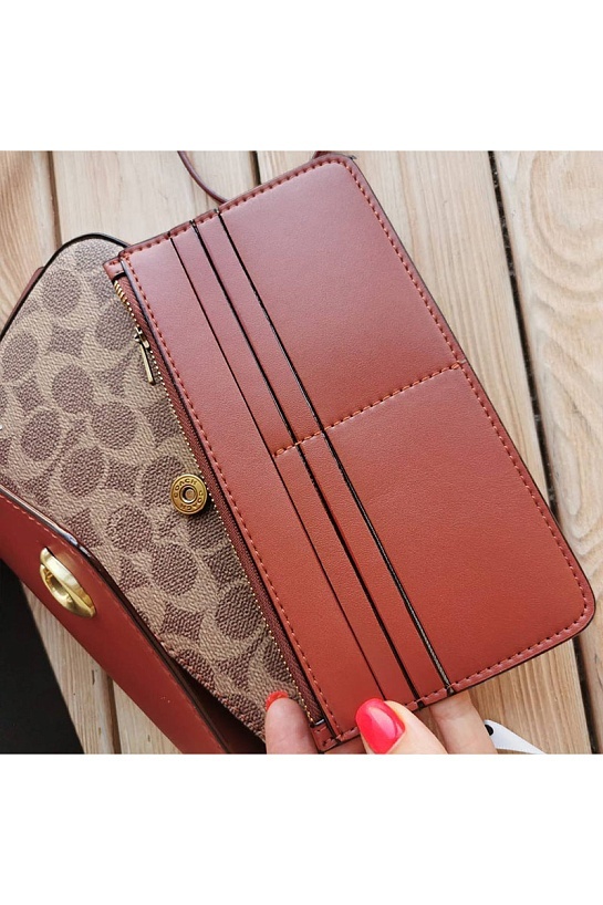 Женская сумка Coach Wyn Clutch In Colorblock 22x13 см