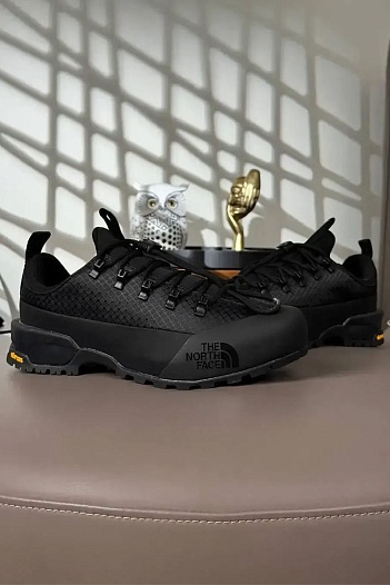 Кроссовки The North Face Glenclyffe Low Gore-Tex   