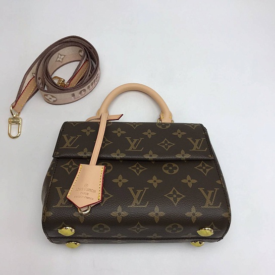 Кожаная сумка Louis Vuitton Cluny Mini Monogram 20x15x5 см