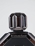 Парфюмерная вода Stefano Ricci Royal Eagle Black (100 мл)