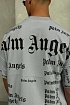 Серая оверсайз футболка Palm Angels Ultra Logo