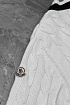 Мужской белый свитер Moncler