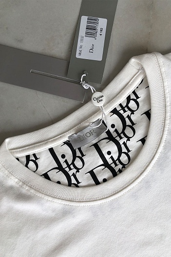 Белая мужская футболка Dior embroidered logo   