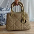 Женская сумка Christian Dior Lady D-Sire 25x18 см (6 расцветок)