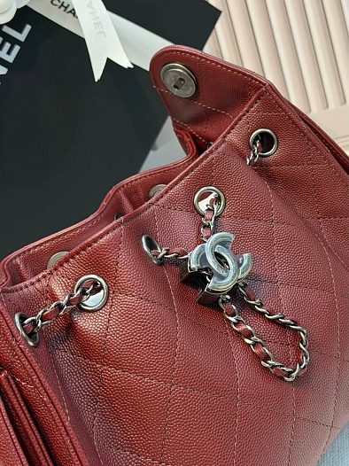 Кожаная сумка Chanel 25 Mini premium 20x22x12.5 см   