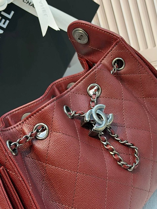 Кожаная сумка Chanel 25 Mini premium 20x22x12.5 см