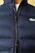Мужской жилет Lacoste тёмно-синего цвета