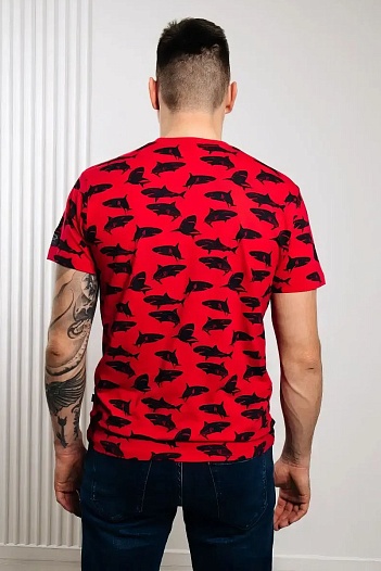 Красная мужская футболка Paul&Shark   