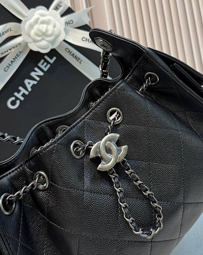 Кожаная сумка Chanel 25 Mini premium 20x22x12.5 см   