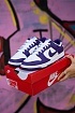 Кроссовки Nike Dunk Low Championship Court Purple