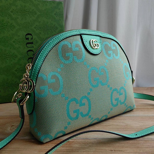 Сумка Gucci Ophidia Jumbo GG Small 24x18 см - Geen   