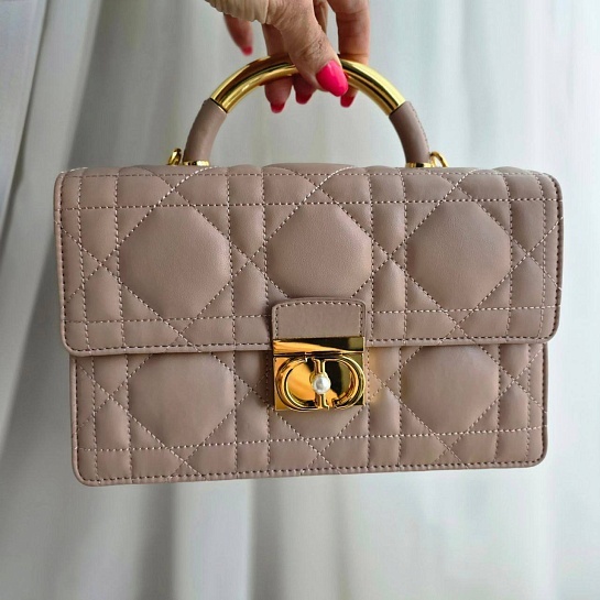 Кожаная сумка Dior Ange 23x16 см