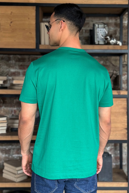 Мужская футболка Dolce & Gabbana Premium - Green