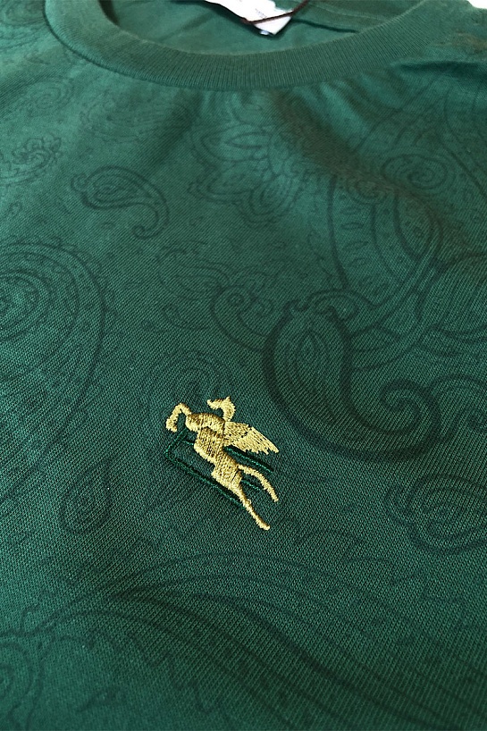 Зелёная мужская футболка Etro embroidered-logo