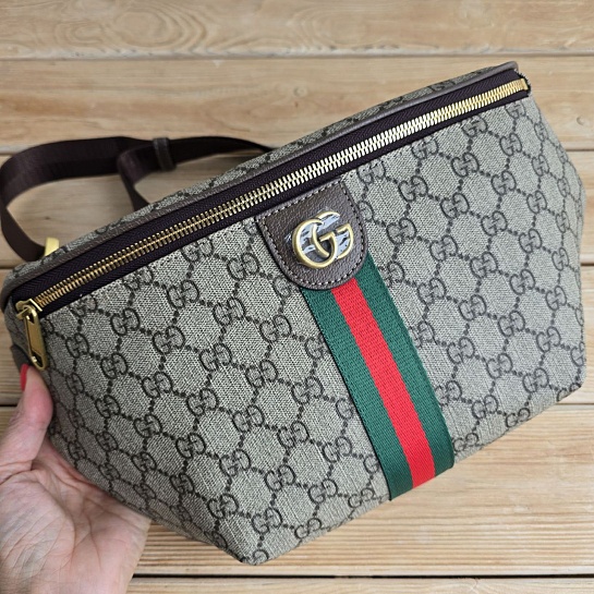 Сумка на пояс Gucci GG Ophidia 30x17 см