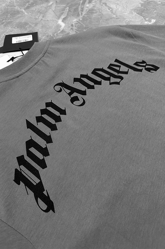 Серая оверсайз футболка Palm Angels Leopard Bear