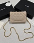 Кожаная сумка Chanel Wallet on Chain premium 19x12x4 см