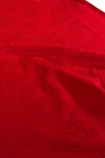 Красная мужская футболка Etro embroidered-logo   