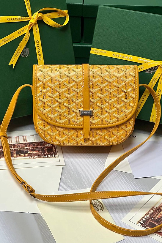 Кожаная сумка Goyard Belvedere Messenger PM premium 22x17x6 см