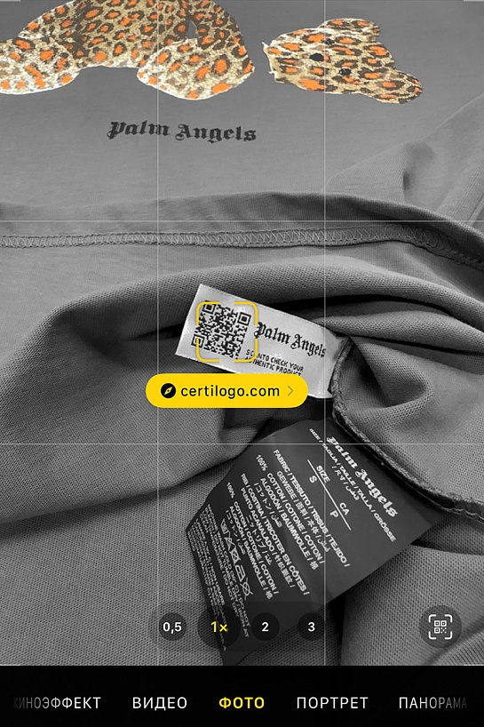 Серая оверсайз футболка Palm Angels Leopard Bear