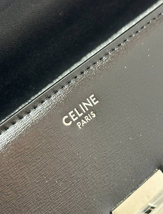Женская кожаная сумка Celine Claude Premium 20.5x11.5x4 см - Black / Silver
