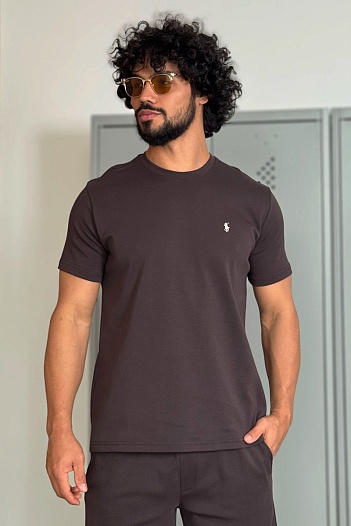 Мужская коричневая футболка Polo Ralph Lauren   
