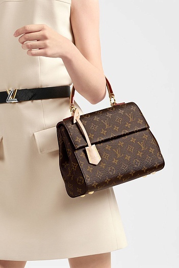 Кожаная сумка Louis Vuitton Cluny BB 28x20x10 см   
