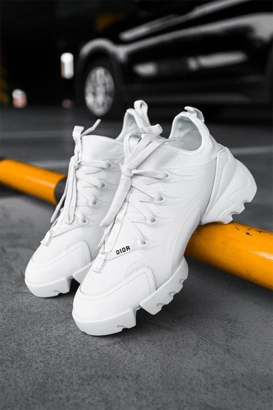 Женские кроссовки Dior D-Connect - White