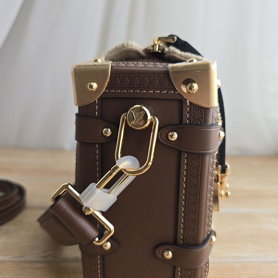 Кожаная сумка Louis Vuitton Side Trunk MM 22x16 см