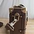 Кожаная сумка Louis Vuitton Side Trunk MM 22x16 см