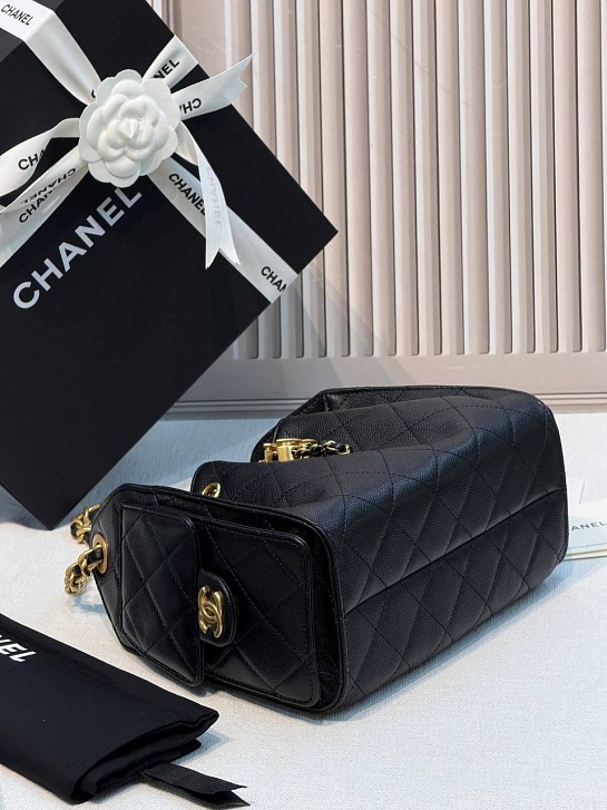 Кожаная сумка Chanel 25 Mini premium 20x22x12.5 см