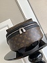 Кожаный рюкзак Louis Vuitton Palm Springs Premium 38x29x20 см
