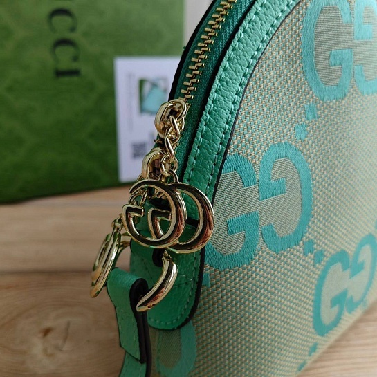 Сумка Gucci Ophidia Jumbo GG Small 24x18 см - Geen