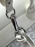 Женский рюкзак Goyard Alpin Mini Premium 23x19x9.5 см - White