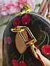 Кожаная сумка Louis Vuitton x Takashi Murakami Cherry Speedy 30x22 см